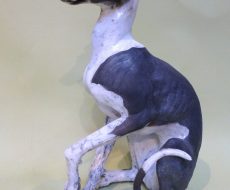 Sitting dog sculpture