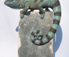 Chameleon sculpture