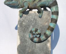 Chameleon sculpture