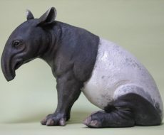 Tapir