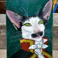 Oriental cat portrait