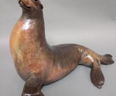 sea-lion